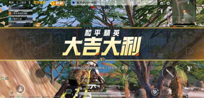 和平精英手游科技辅助微软怎么用（和平精英手游辅助工具怎么用）